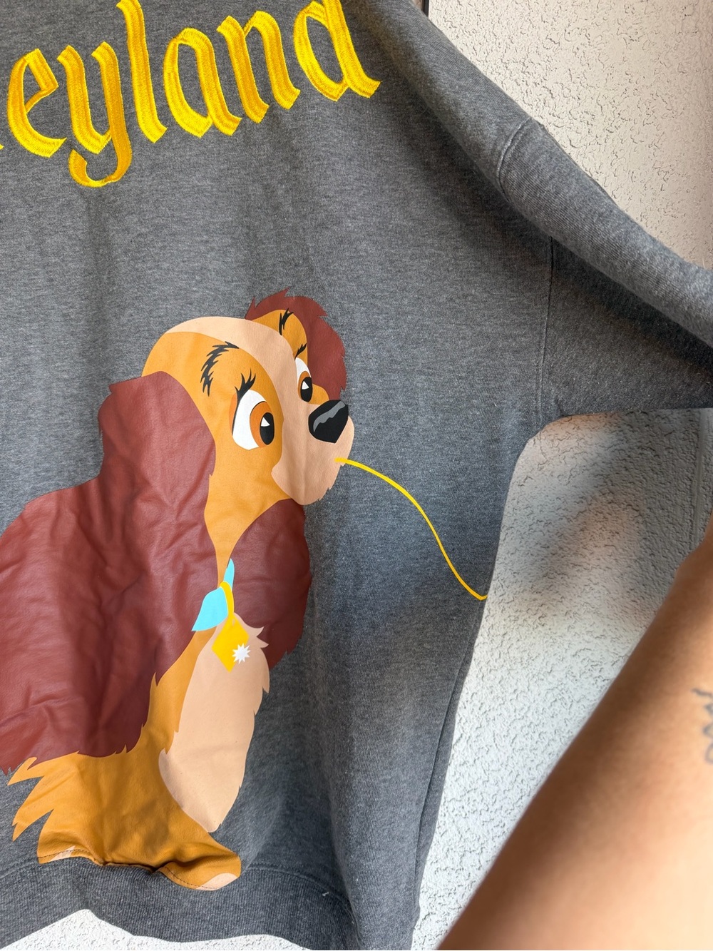 Disney Grey 'Lady & Tramp Graphic Dog Sweatshirt with Yellow Embroidered Script